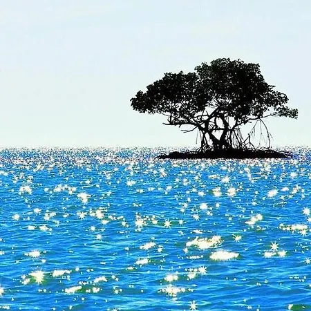 Helene * בלדיבי